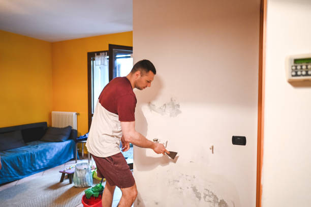 Best Localized Mold Remediation (e.g., coastal areas, humid climates) in Pistakee Highlands, IL